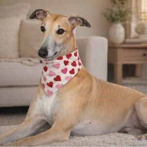 Heart Patterned Dog Scrunchie Bandana- Homemade